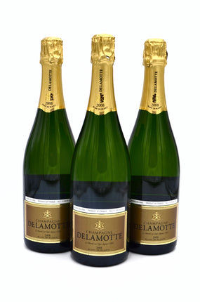 2008 Delamotte Blanc de Blancs Vintage Brut Champagne