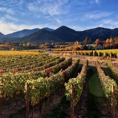 The Pacific Northwest