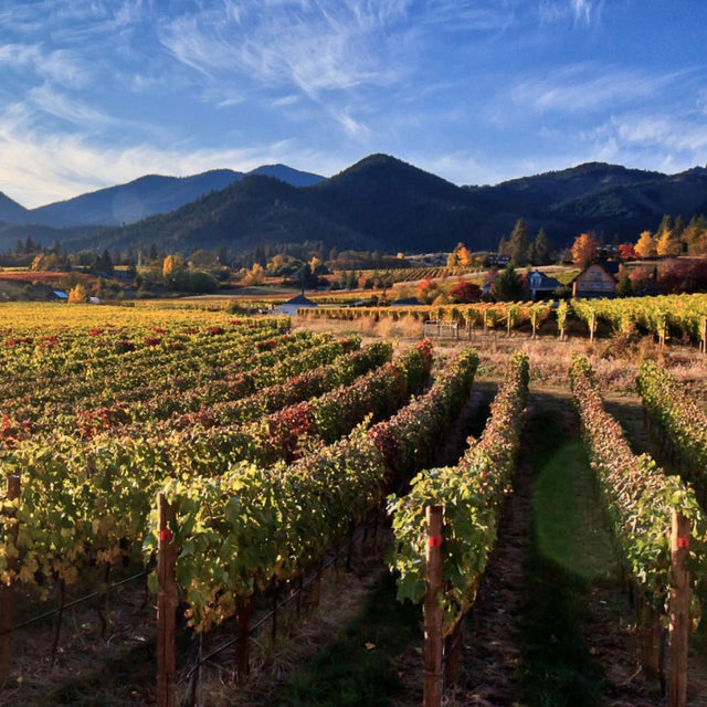 The Pacific Northwest