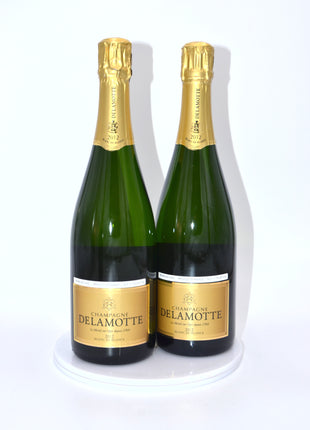 2012 Delamotte Blanc de Blancs Vintage Brut Champagne