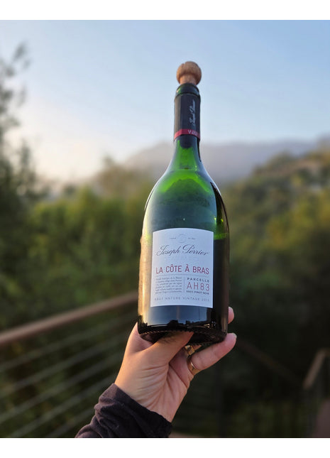 2013 Joseph Perrier La Cote a Bras Blanc de Noir Brut Nature Champagne