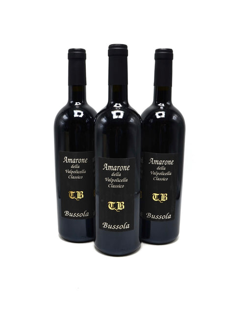 2001 Tommaso Bussola TB Amarone della Valpolicella Classico