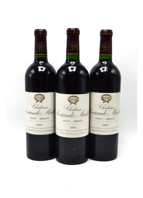 2001 Château Sociando-Mallet, Haut-Médoc
