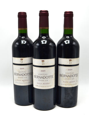 2009 Chateau Bernadotte, Haut-Médoc