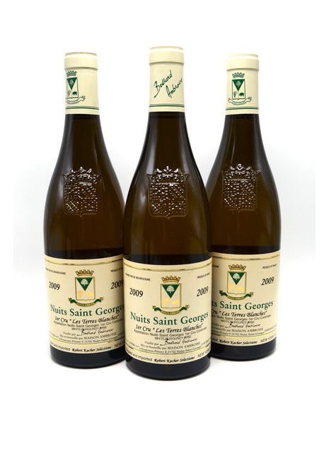2009 Maison Bertrand Ambroise Nuits-Saint-Georges Blanc, Les Terres Blanches, Premier Cru